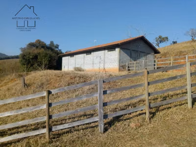 Sítio, 3 quartos, 53 hectares - Foto 1