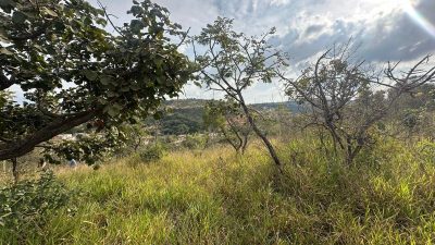 Terreno, 360 m² - Foto 3