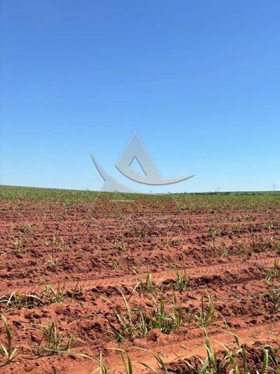 Fazenda, 697 hectares - Foto 1