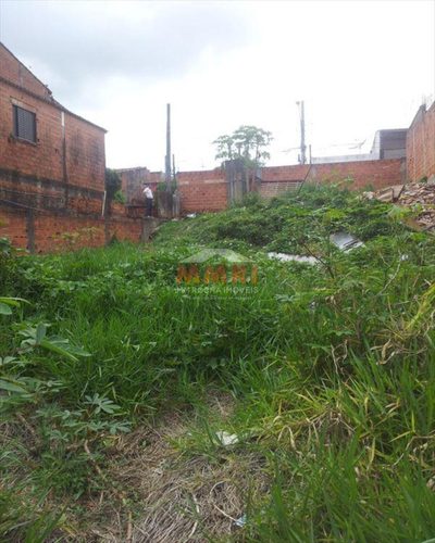 Terreno, 250 m² - Foto 4
