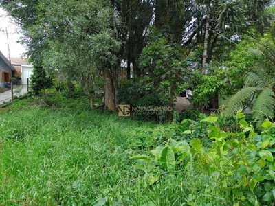 Terreno, 590 m² - Foto 2