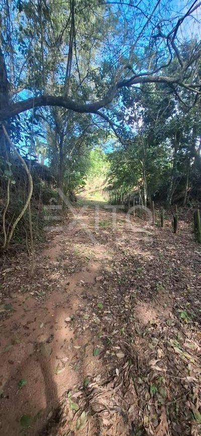 Sítio, 3 quartos, 2 hectares - Foto 2