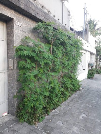 Terreno - Foto 5