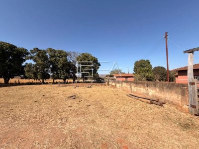 Chácara, 4 quartos, 53 hectares - Foto 1