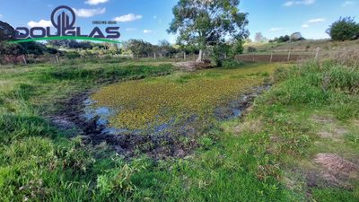 Terreno, 5000 m² - Foto 1