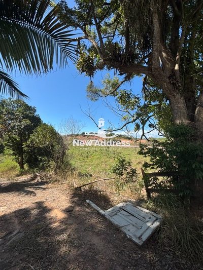 Terreno, 2500 m² - Foto 5
