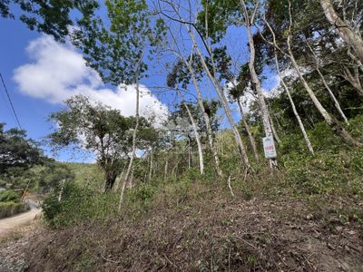 Terreno, 1 hectares - Foto 1