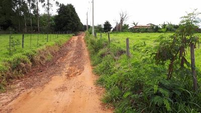 Terreno, 4000 m² - Foto 4