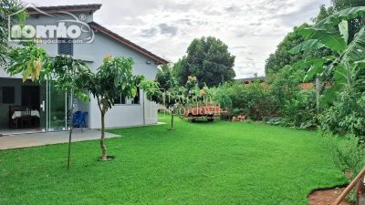 Casa, 4 quartos, 800 m² - Foto 2