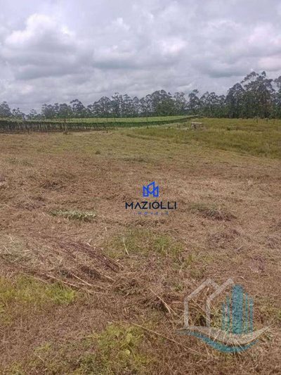 Terreno, 3 hectares - Foto 4