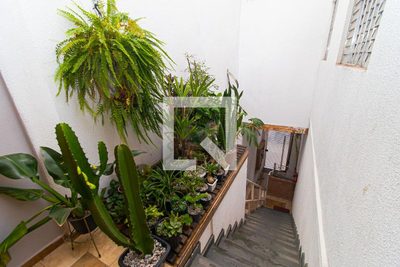 Casa, 5 quartos, 100 m² - Foto 5