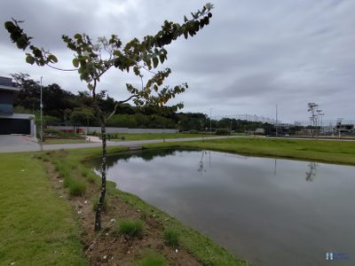 Terreno, 300 m² - Foto 4