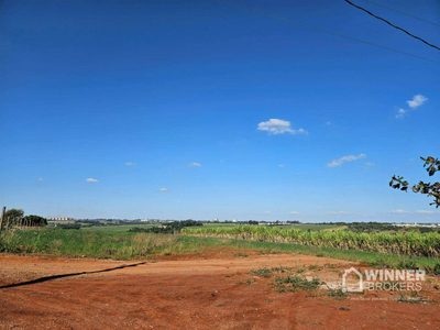 Chácara, 1 quarto, 2500 m² - Foto 4