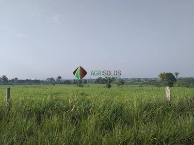 Terreno, 9500 m² - Foto 2