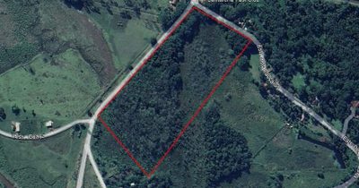 Terreno, 6 hectares - Foto 3