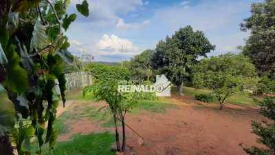 Chácara, 2 quartos, 1232 m² - Foto 4