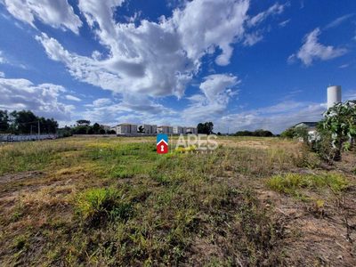 Terreno, 1433 m² - Foto 3