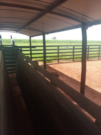 Fazenda, 10000 m² - Foto 4