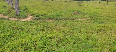 Fazenda - Foto 3