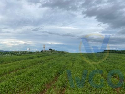 Chácara, 4 quartos, 3 m² - Foto 3