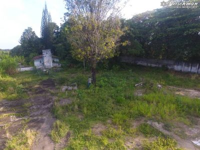 Terreno, 1 hectares - Foto 5