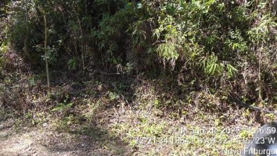 Terreno, 10 m² - Foto 1