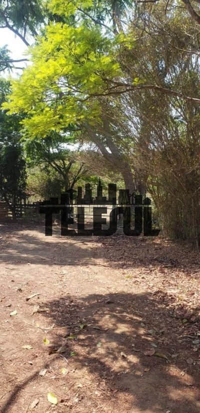 Sítio, 5 quartos, 30000 m² - Foto 1