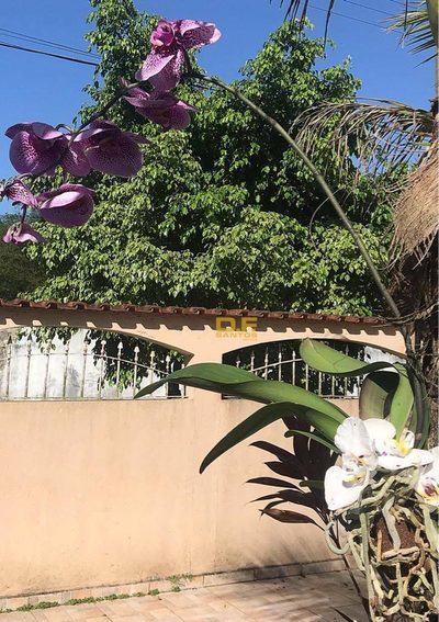 Casa, 4 quartos, 256 m² - Foto 3