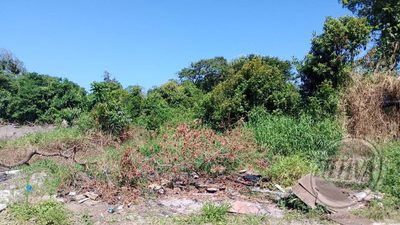 Terreno, 420 m² - Foto 3