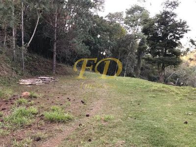Terreno, 3 hectares - Foto 4