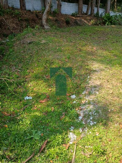 Terreno, 300 m² - Foto 4