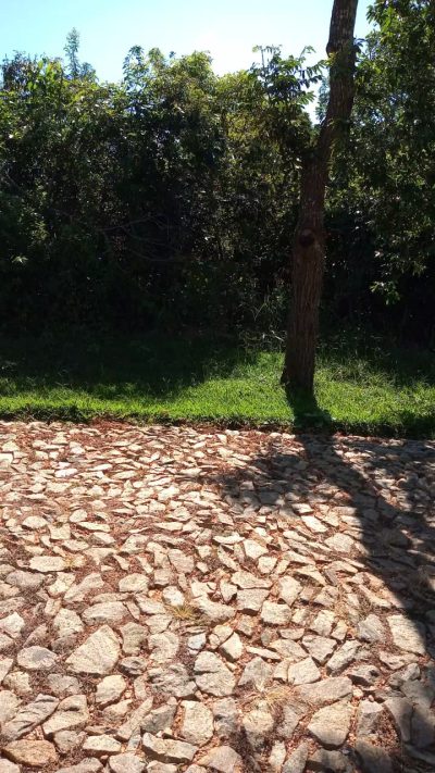 Terreno, 1291 m² - Foto 4