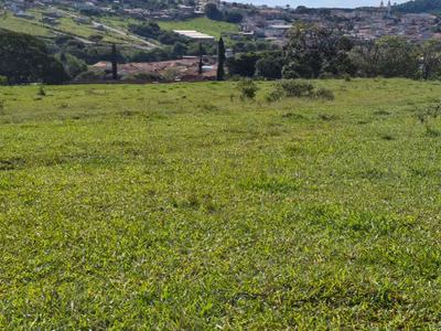 Apartamento, 1 quarto, 140000 m² - Foto 4