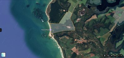 Terreno, 156 hectares - Foto 4
