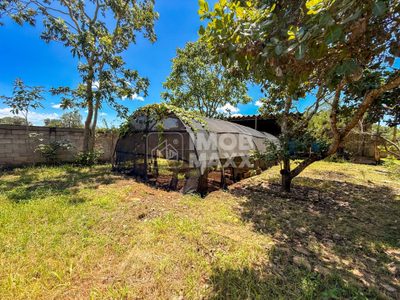 Chácara, 2 quartos, 8670 m² - Foto 4