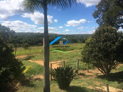 Fazenda - Foto 4