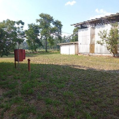 Depósito-Galpão - Foto 3