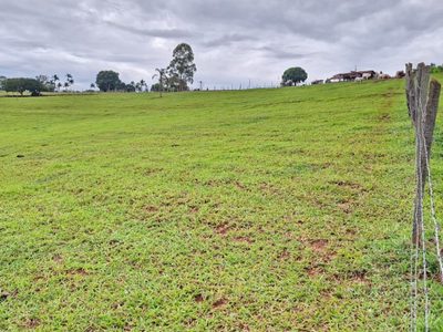 Sítio, 1 quarto, 8 hectares - Foto 4