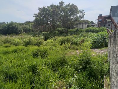 Terreno, 7200 m² - Foto 5