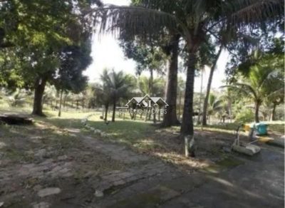 Fazenda, 9 hectares - Foto 5
