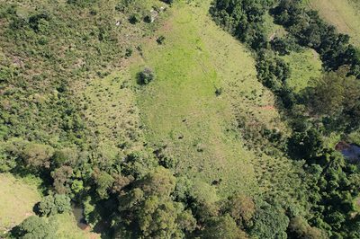 Terreno, 2 hectares - Foto 2
