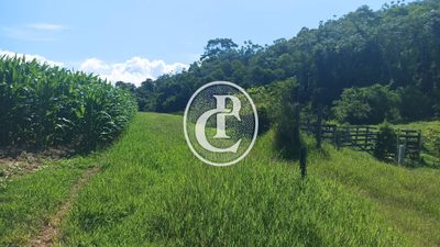 Fazenda, 82 hectares - Foto 2