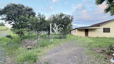 Sítio, 4 quartos, 1768 m² - Foto 4