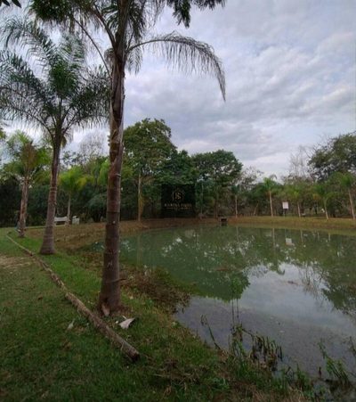 Terreno, 1000 m² - Foto 3