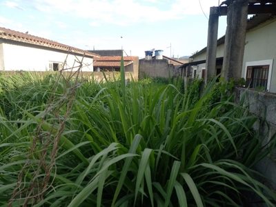 Terreno - Foto 3