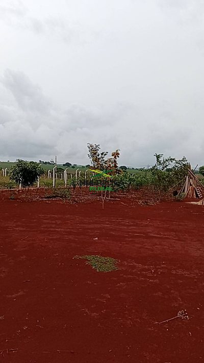 Depósito-Galpão - Foto 5