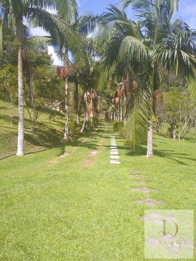 Sítio, 4 quartos, 3 hectares - Foto 2