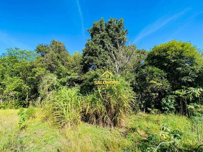 Chácara, 2 quartos, 1800 m² - Foto 3