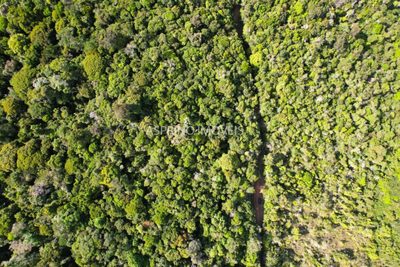 Terreno, 3 hectares - Foto 3