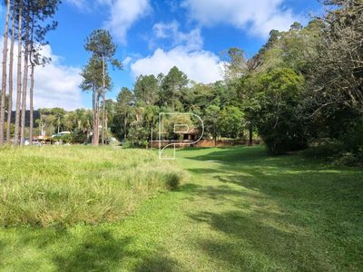 Terreno, 19 hectares - Foto 3